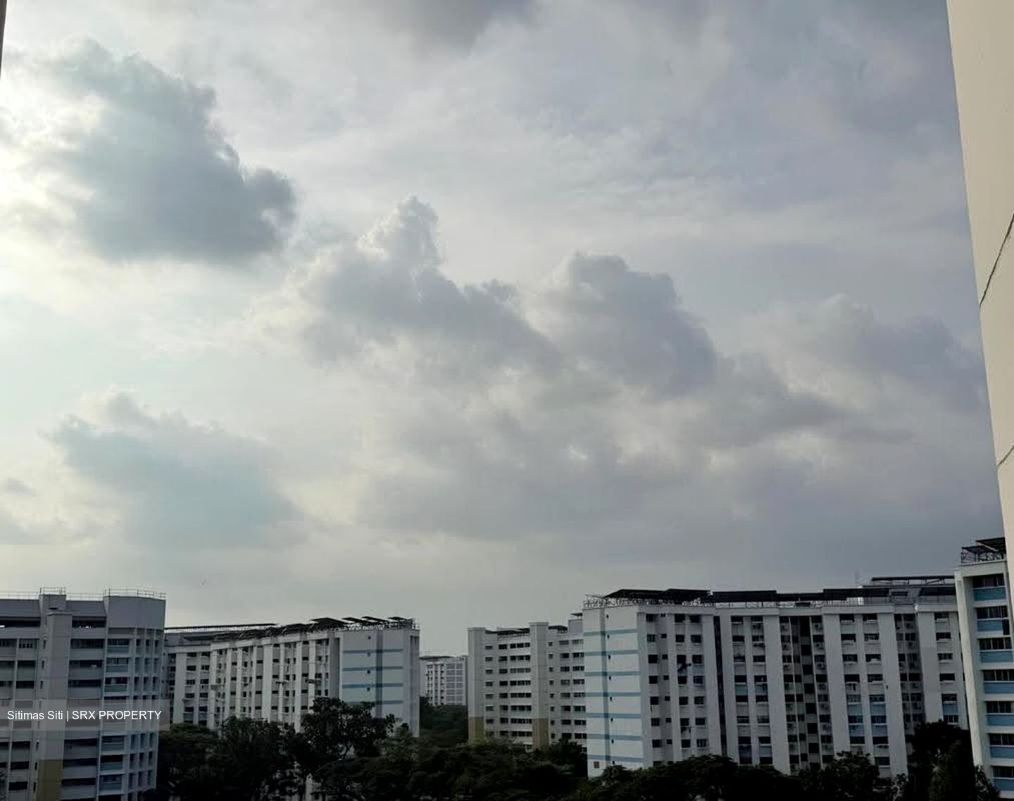 Blk 124 Tampines Street 11 (Tampines), HDB Executive #633244731